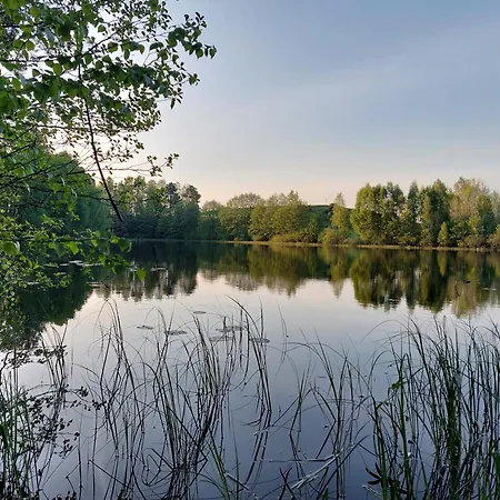 Wita Was * Borowy Las