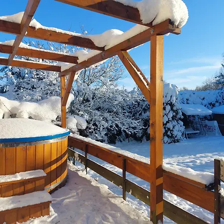 Wita Was * Borowy Las