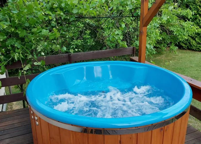 Wita Was * Borowy Las