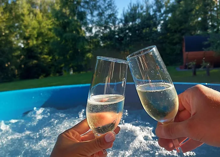 Wita Was * Borowy Las