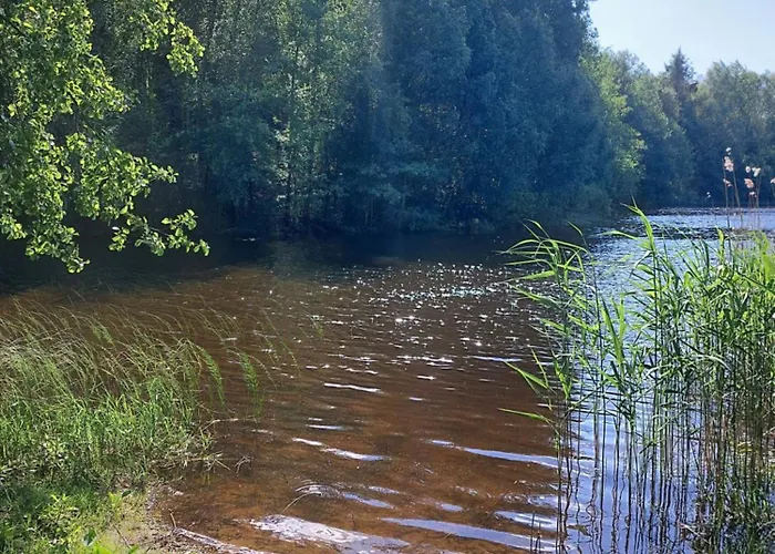 Wita Was * Borowy Las