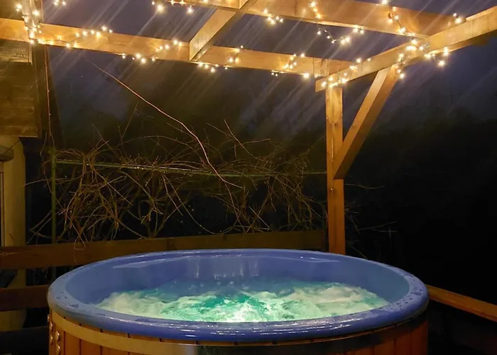 Wita Was * Borowy Las