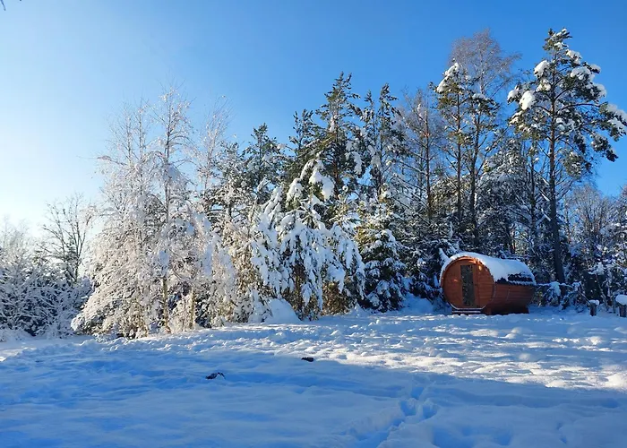 Wita Was Ferienhaus Borowy Las