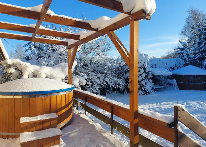 Wita Was * Borowy Las